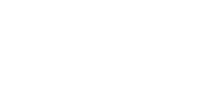 Smith and Finley Homes